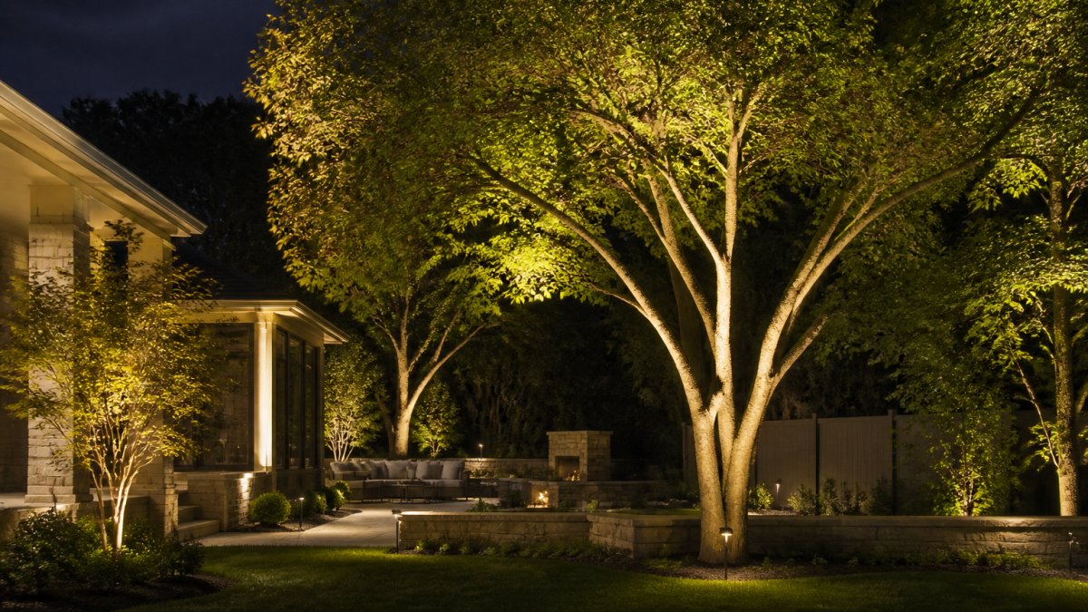 How to Illuminate Backyard Trees: Professional Design Guide