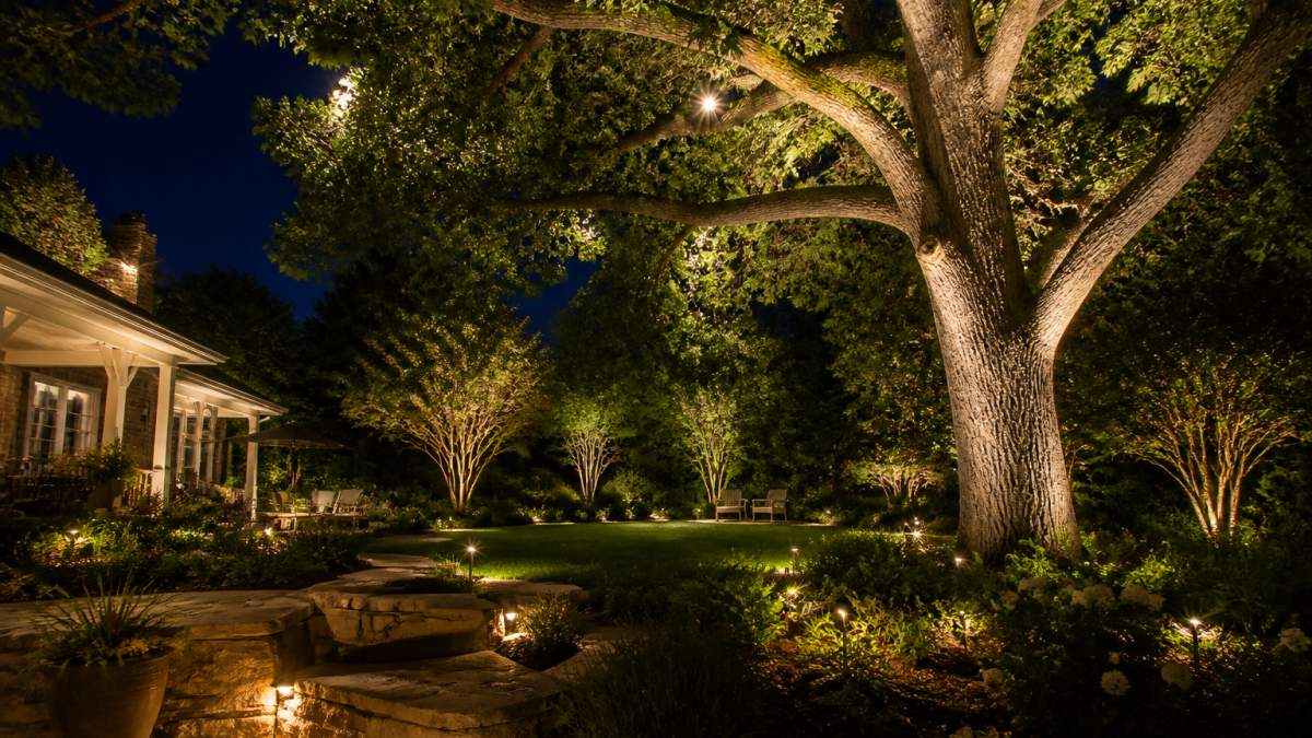Professional nighttime backyard scene with mature oak tree illuminated from below with warm uplighting, secondary downlighting from canopy creating depth and dimension, trunk texture highlighted, surrounding landscape softly lit, no glare visible