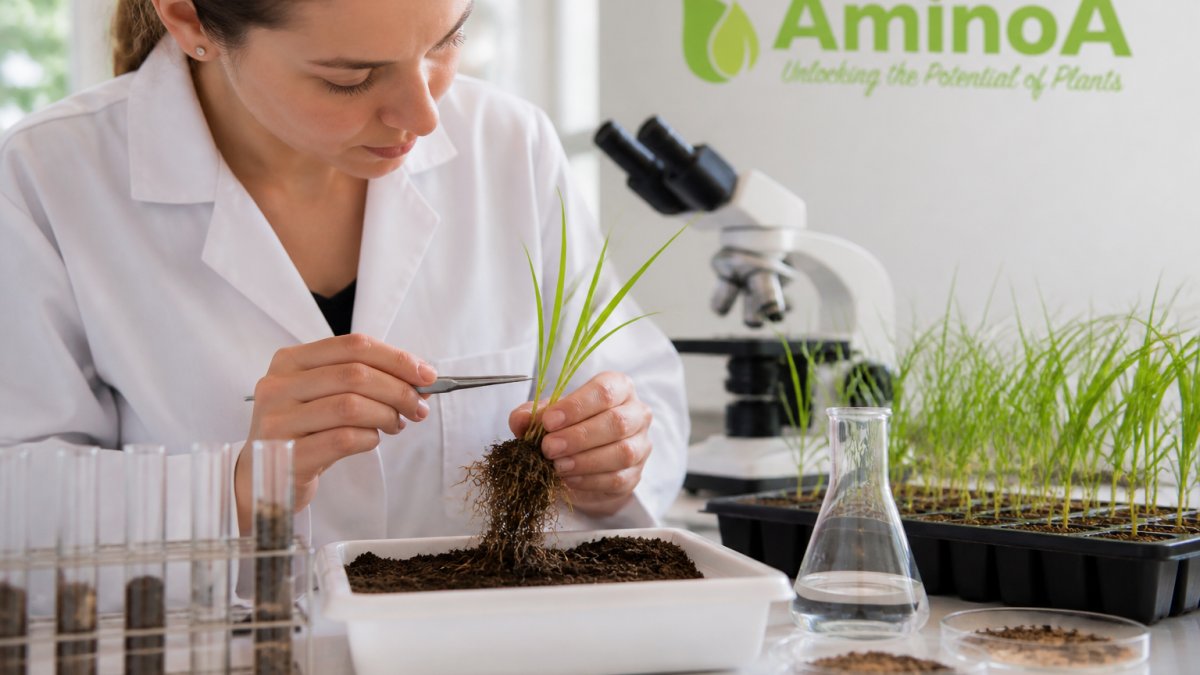 How to Improve Rhizosphere Microbial Activity