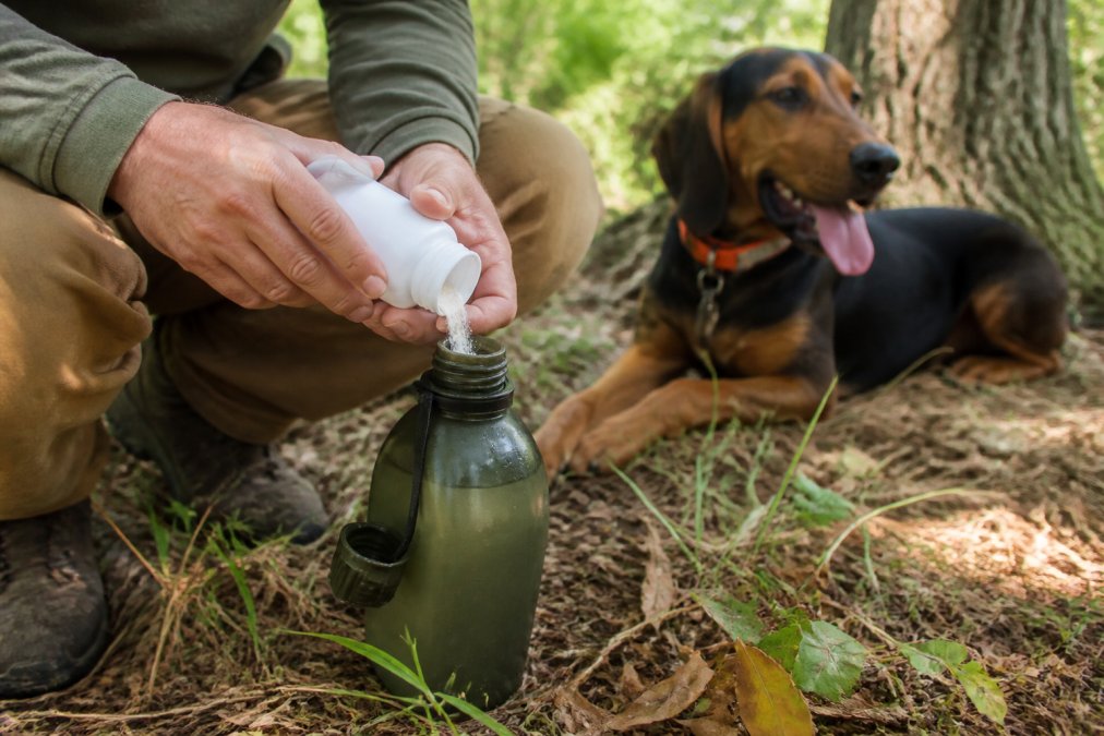 Close-up of a hunter's hands mixing a hydration and energy recovery supplement into a portable water container for a sporting dog resting in the shade