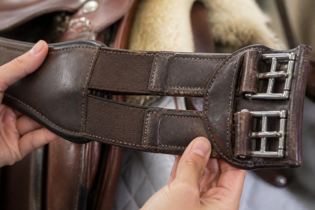 Infographic highlighting key inspection points to maintain durable girths by checking stitching, elastic, and buckles.
