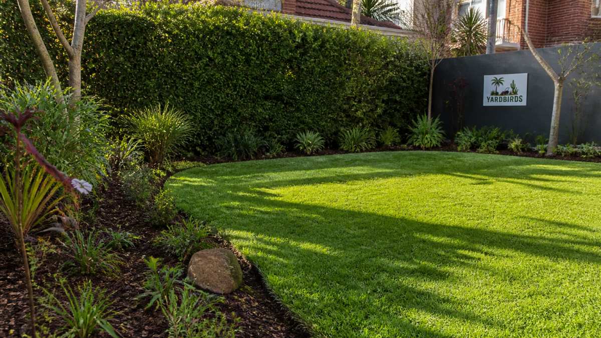 Infographic flowchart on how to maintain inner west garden health with lush lawns and seasonal hedging tips.