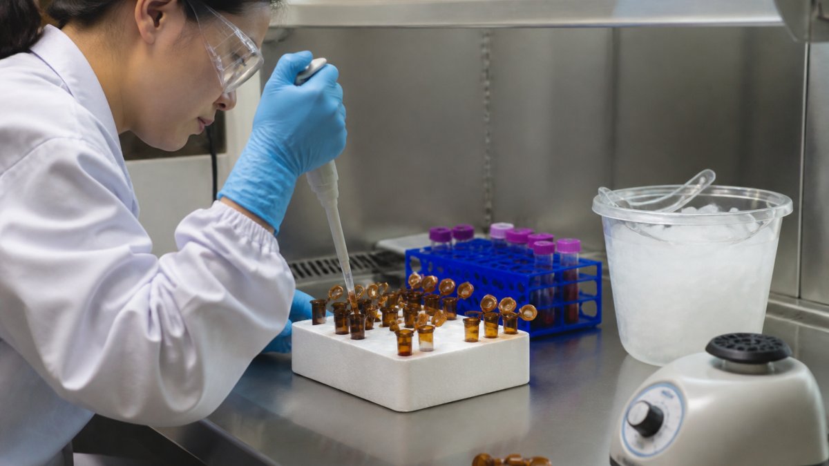 Lab technician pipetting plasma samples to measure mitochondrial coenzyme levels in amber tubes