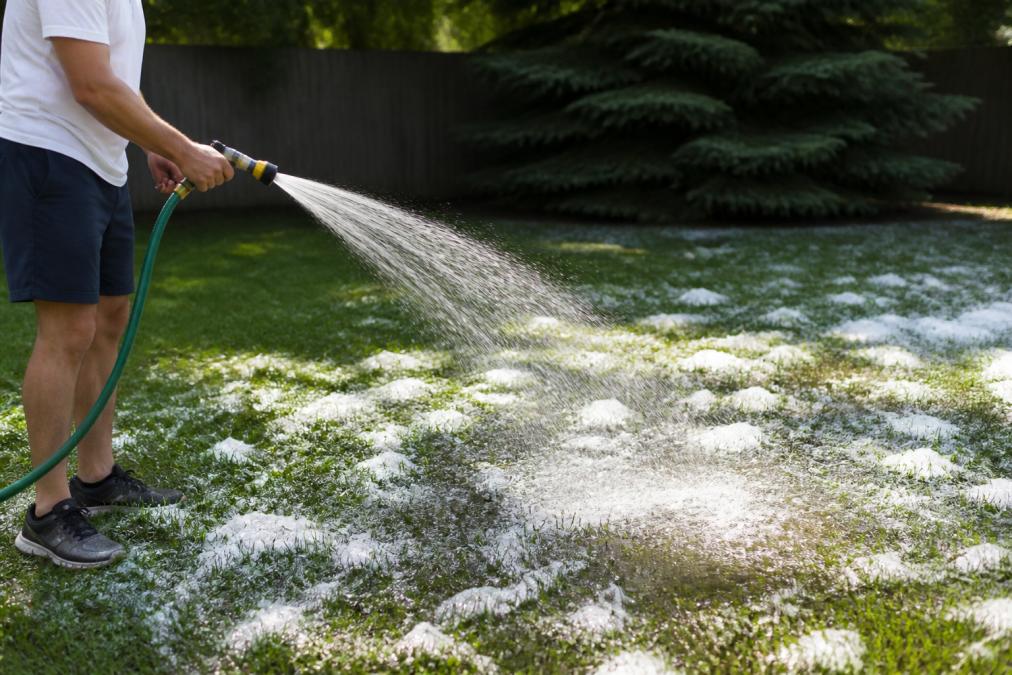Someone spraying down a grassy area with a garden hose to rinse away foam residue, showing water drainage and lawn recovery in natural outdoor lighting