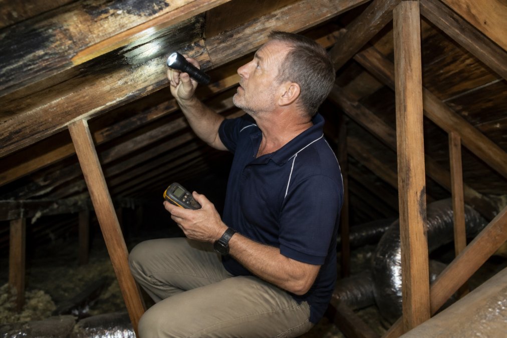 Professional building inspector examining ceiling cavity and roof structure with torch and moisture meter in hand, checking for water damage and termite activity in dim attic space