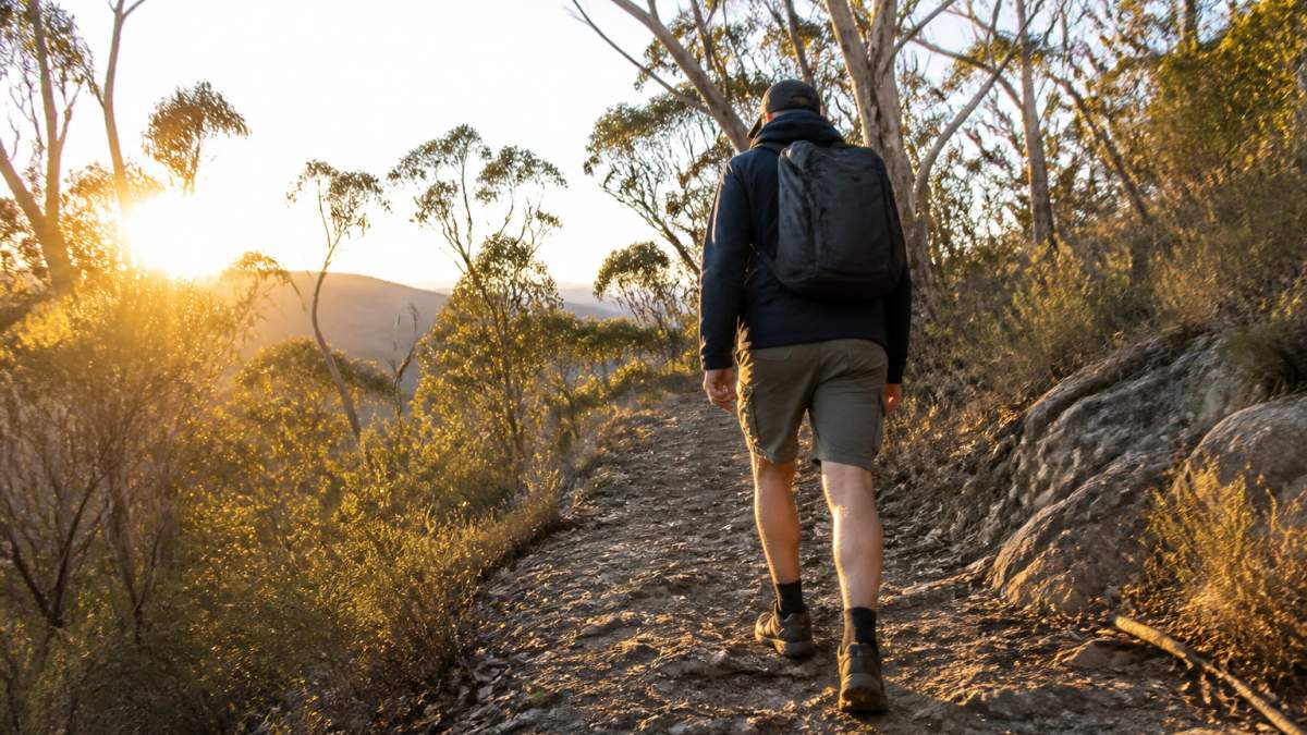 Hiker with a small daypack walking along a bushland trail at sunrise