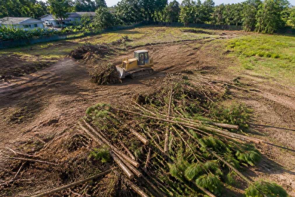 Bulldozer clearing brush and trees on a residential lot to show how to prepare land for construction.