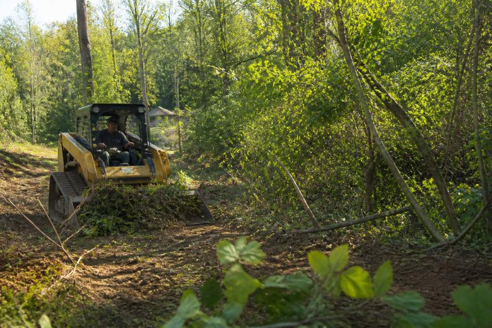 Professional land clearing equipment removing brush and debris from overgrown residential property, with a skid steer loader clearing dense vegetation and fallen branches from a sloped driveway area in afternoon sunlight