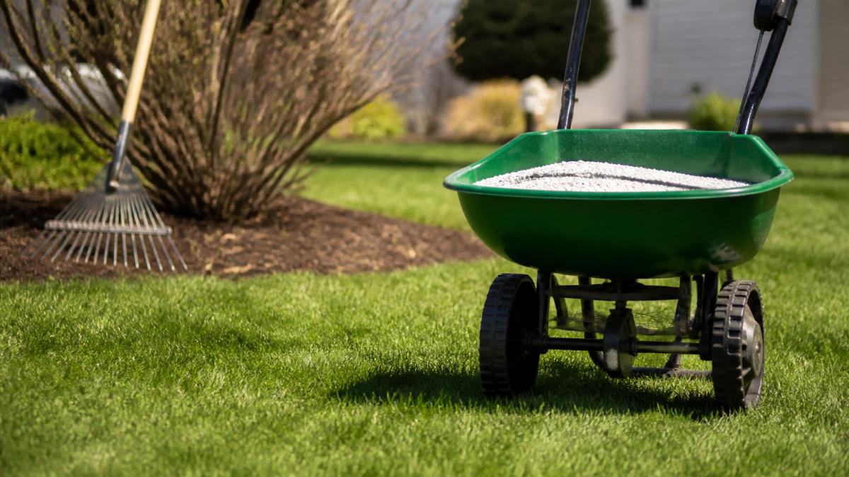 How to Prepare Your Lawn for Spring 2026