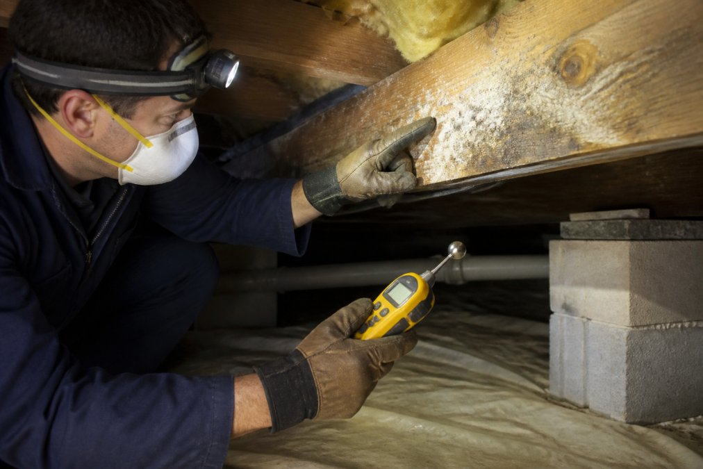 Homeowner using a moisture meter to inspect white crawlspace mold on a wooden floor joist with a flashlight