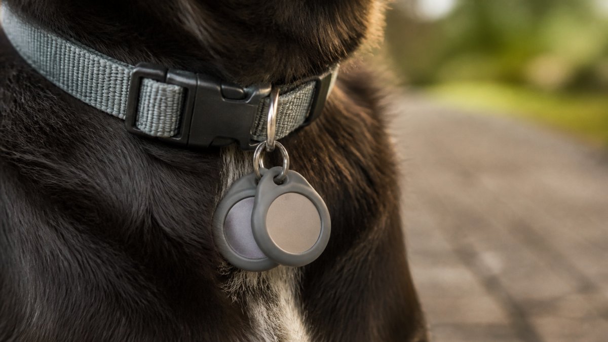 Diagram showing the application of silicone silencers to metal dog tags to secure them against a collar.