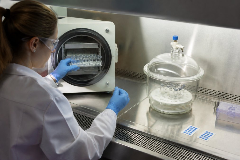 A researcher in a lab coat and gloves carefully transferring lyophilized vials from a freeze-dryer into a sealed desiccator inside a laminar flow hood, with humidity indicator cards visible nearby
