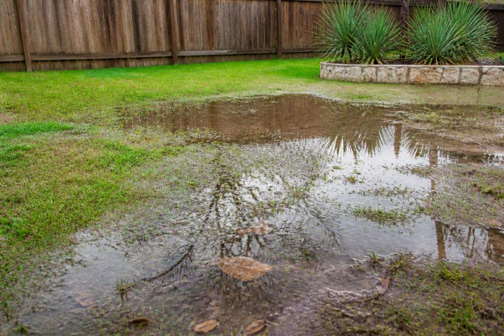How to Prevent Standing Water in Your Backyard
