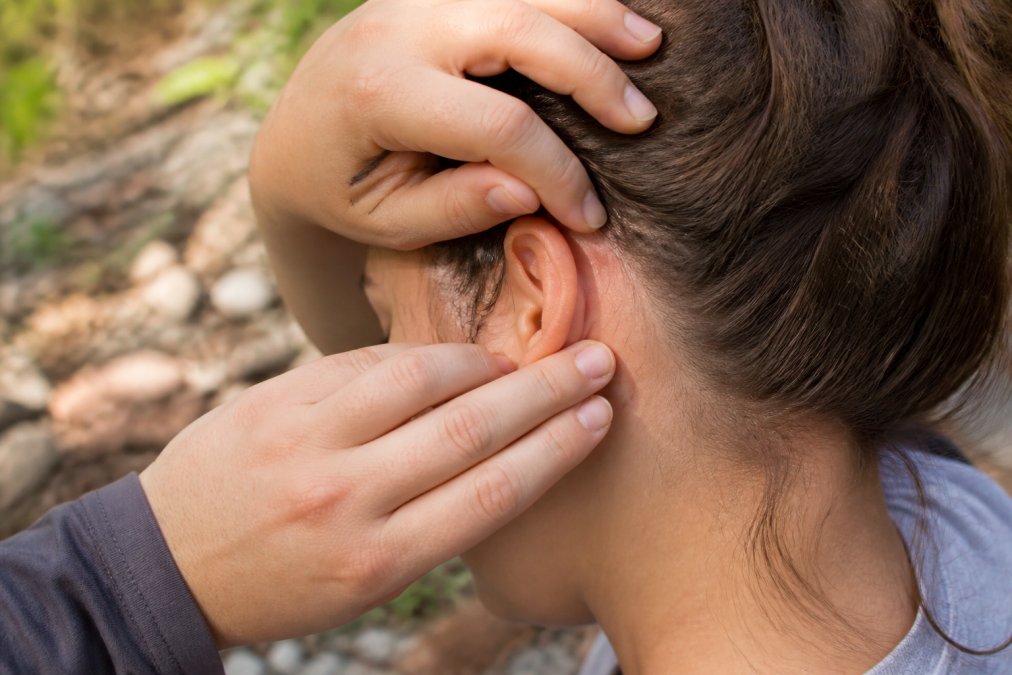 Close-up of hands performing a thorough body inspection after hiking, carefully checking behind the ear and along the hairline for ticks in natural daylight