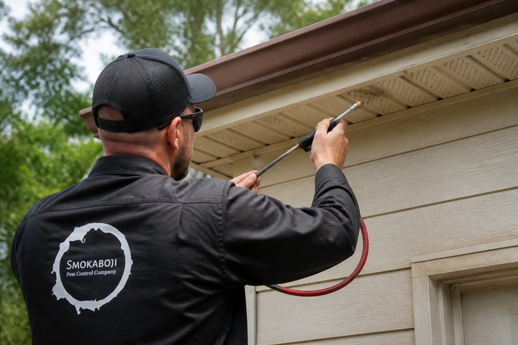 How to Prevent Wasps From Building Nests Under Eaves