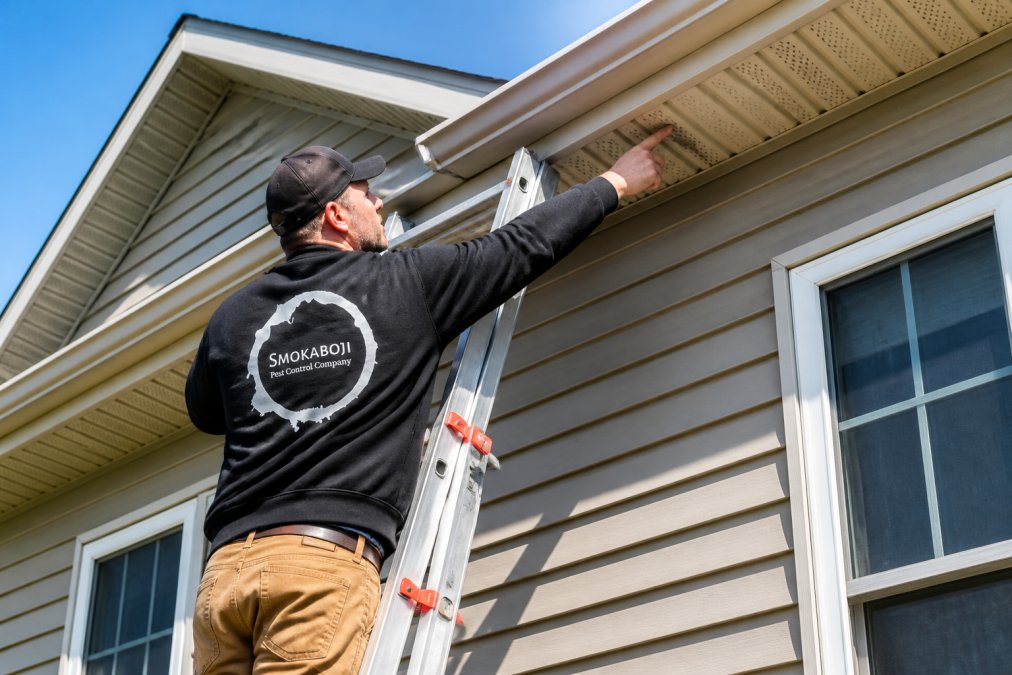 Homeowner inspecting the wooden eaves and soffit of a two-story house from a ladder on a clear spring morning, pointing at a small gap near the roofline
