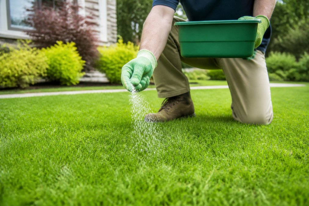 How to Prevent Weeds in Residential Lawns: 2026 Guide