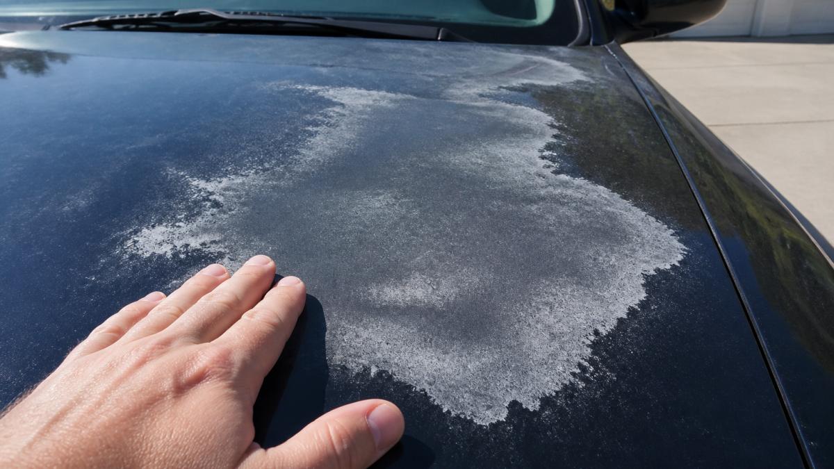 Diagram showing chalky oxidation and rough texture on a car hood where clear coat has failed.