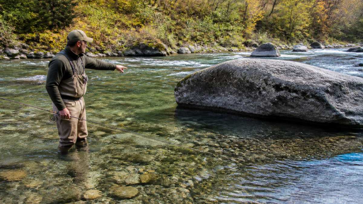 Angler standing in river pointing to slack water pocket on downstream side of large boulder, clear water showing structure, morning light on water