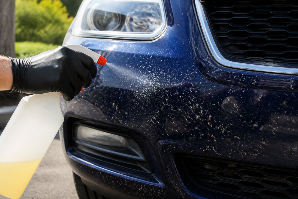 A gloved hand spraying a dedicated bug remover onto the front bumper of a dark blue car, where dried white and yellow bug splatter is clearly visible on the glossy paint surface