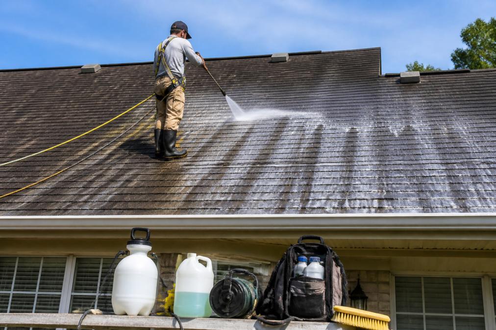 A professional technician in a safety harness applying a soft wash solution to a residential asphalt shingle roof using a low-pressure sprayer, visible black streaks on the shingles before cleaning