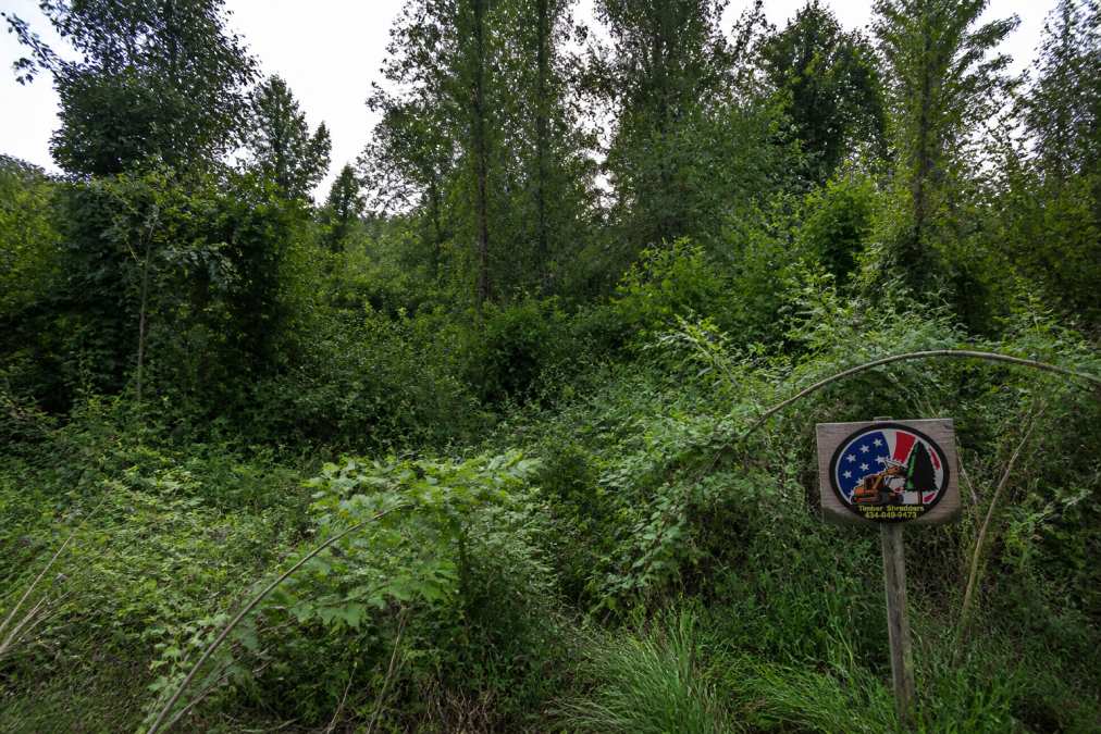 Rural property overgrown with thick brush, saplings, and dense undergrowth across several acres before clearing, showing the challenge of land reclamation