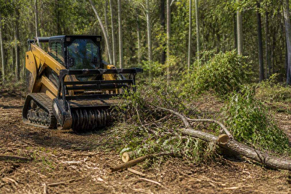 How to Remove Heavy Brush: A Step-by-Step Guide