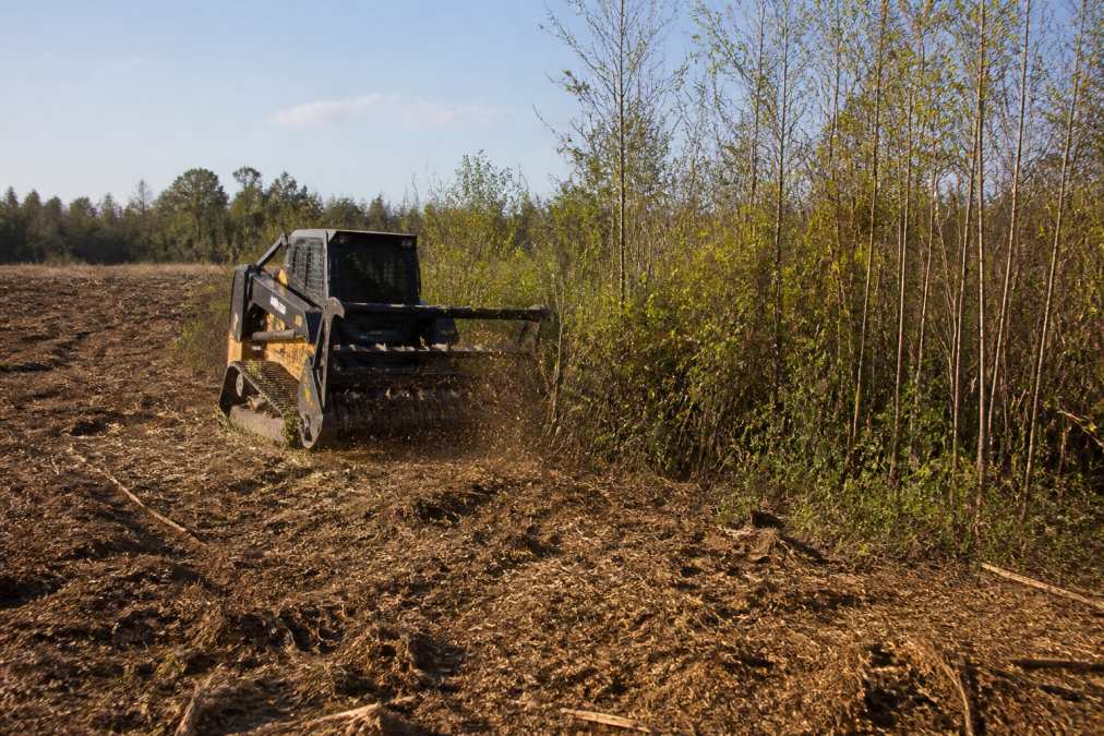 A professional land clearing crew operating a heavy-duty forestry mulching machine on a large overgrown acreage property in afternoon light, with freshly cleared ground visible on one side and dense brush and saplings on the other