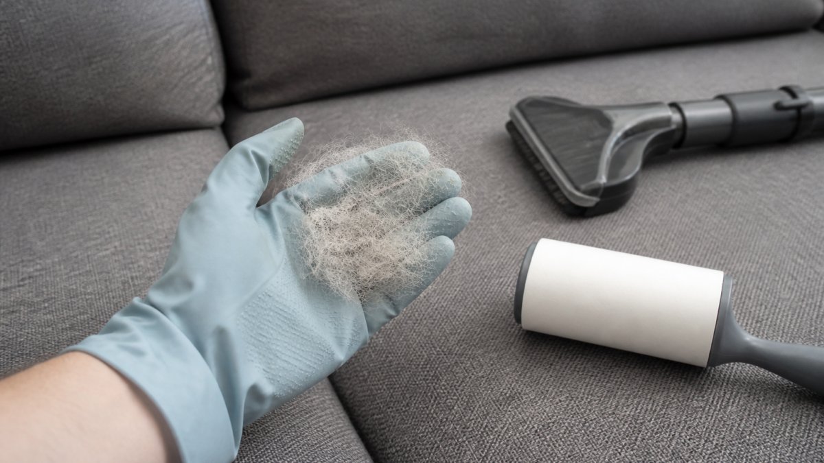 Hands wearing a rubber glove removing pet hair from a fabric couch with cleaning tools nearby