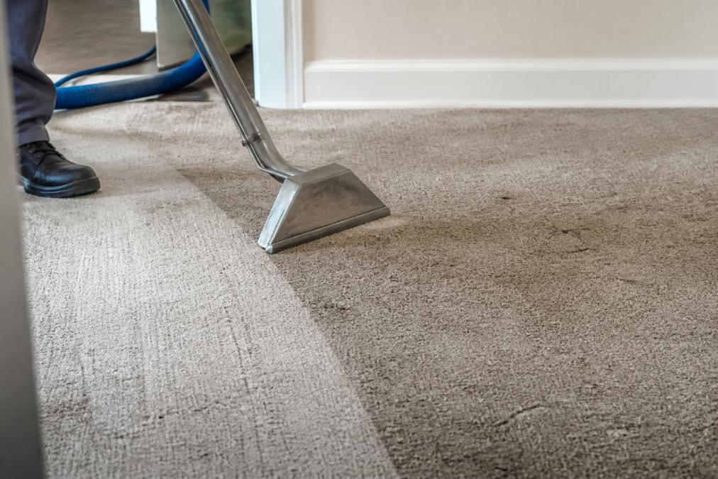 How to Revitalize Old Dingy Carpets: 2026 Guide