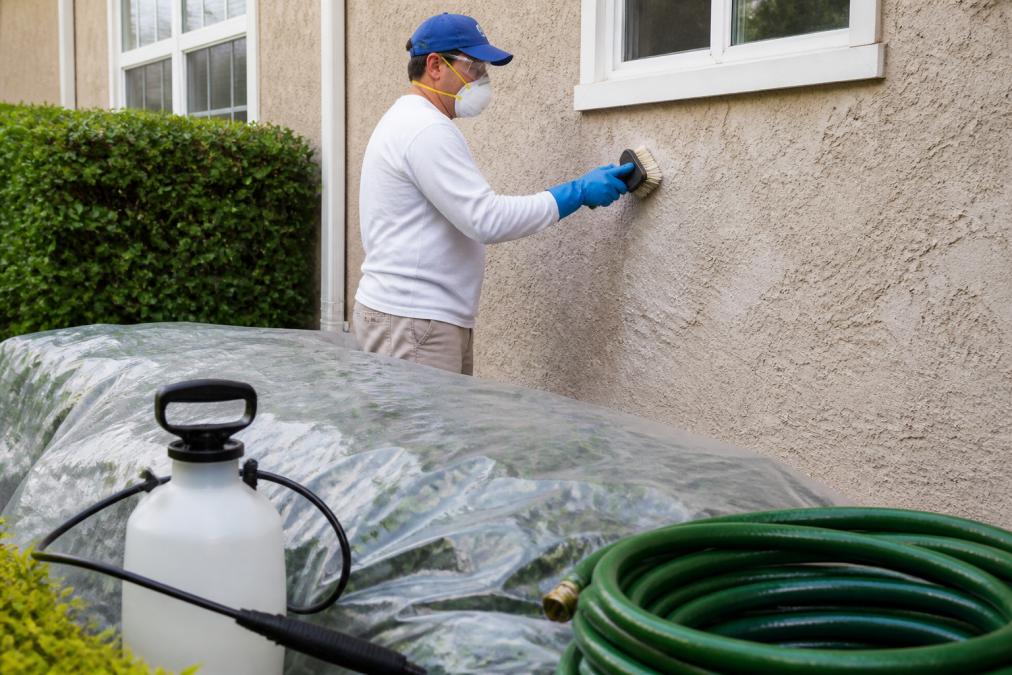 A homeowner wearing protective gear using a soft-bristle brush on a stucco exterior wall, with landscaping covered by plastic sheeting in the foreground and a garden hose nearby