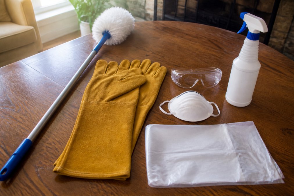 A homeowner wearing thick protective gloves using a long-handled duster to lift a spider web from a ceiling corner in a sunlit living room, furniture pushed aside