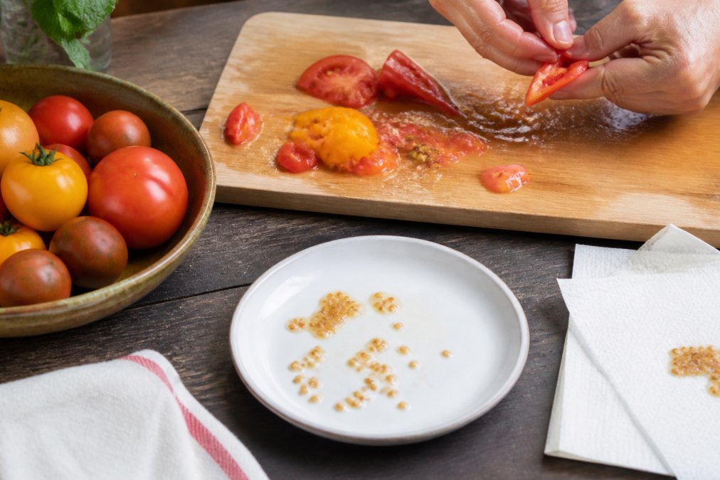 How to Save Tomato Seeds Properly: A 2026 Guide