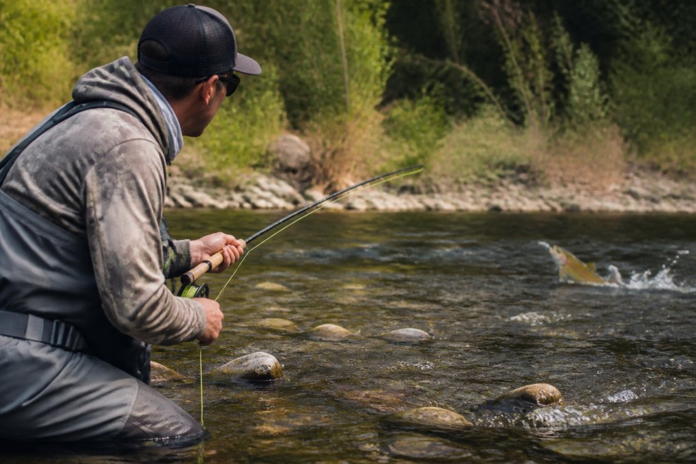 Angler performing a strip set on a fly rod to set the hook as a trout rises in a river background