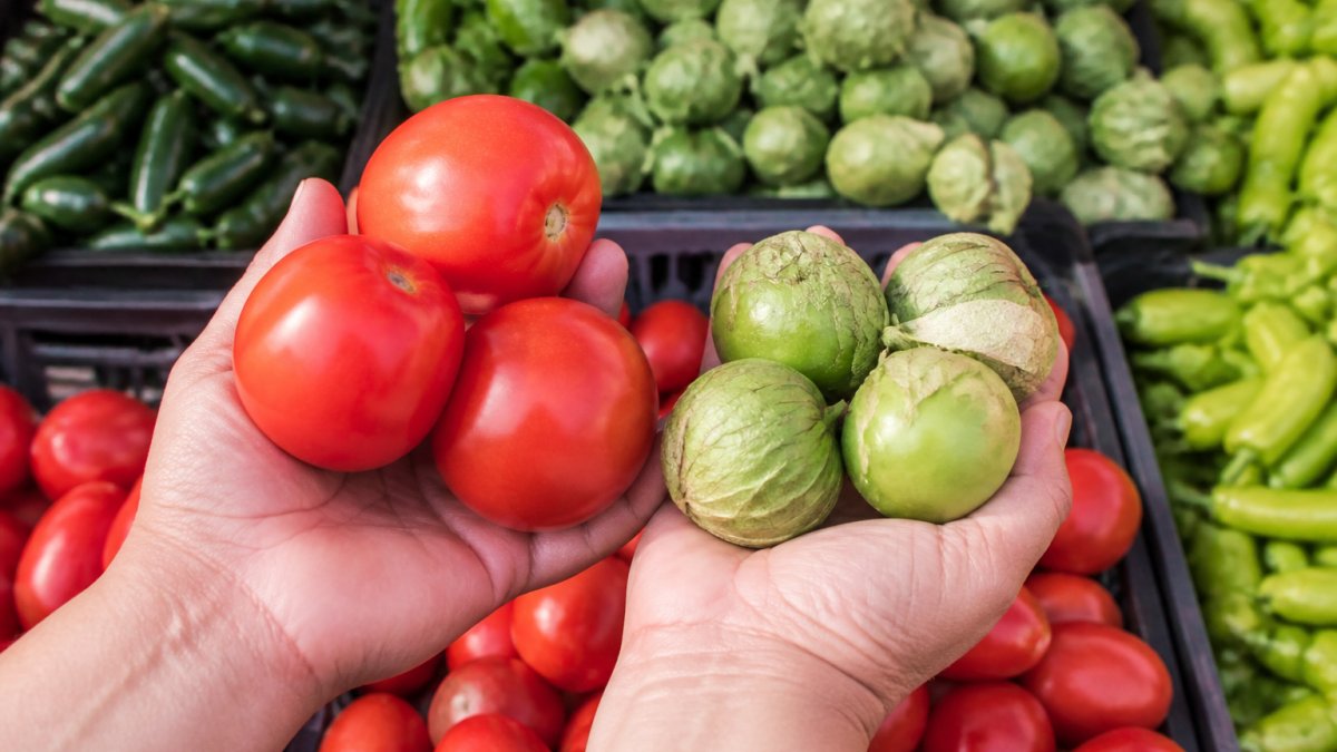 Diagram comparing the color and texture of fresh Mexican ingredients like ripe red tomatoes and green tomatillos.