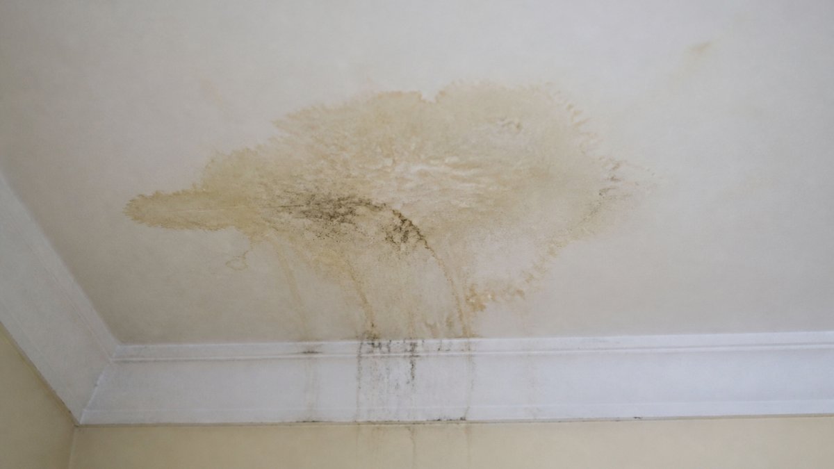 Close-up of water staining and discoloration on a white ceiling, showing yellowing patches and dark streaks where moisture has penetrated