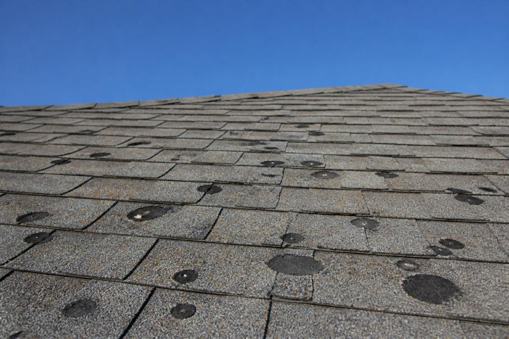 A close-up view of an asphalt shingle roof from a low ground angle showing several small, dark circular hail impact marks and areas of missing granules on the shingle surface, with a clear blue sky in the background