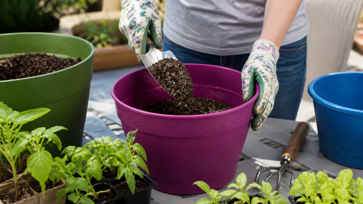Hands filling a colorful plastic planter with potting mix, with seedlings and gardening tools visible on a sunny patio table