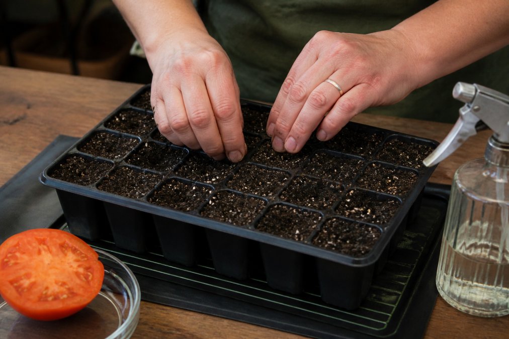 Step-by-step visual guide for start seeds indoors