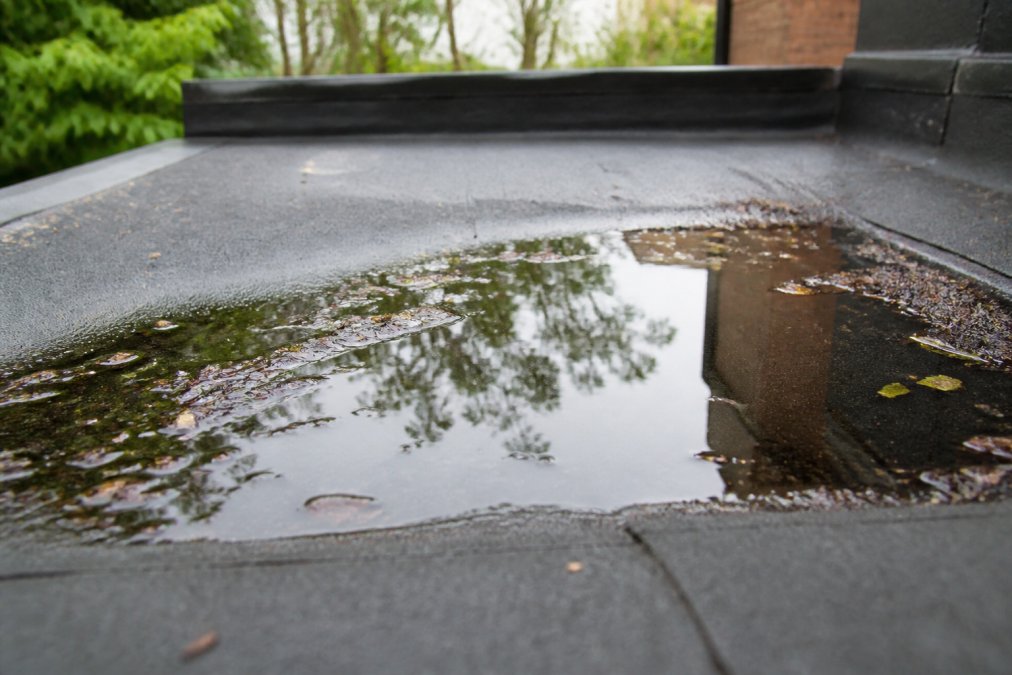 Close-up of standing water pooled on a flat roof surface showing water accumulation in a depression with debris and leaves nearby, shot in natural daylight