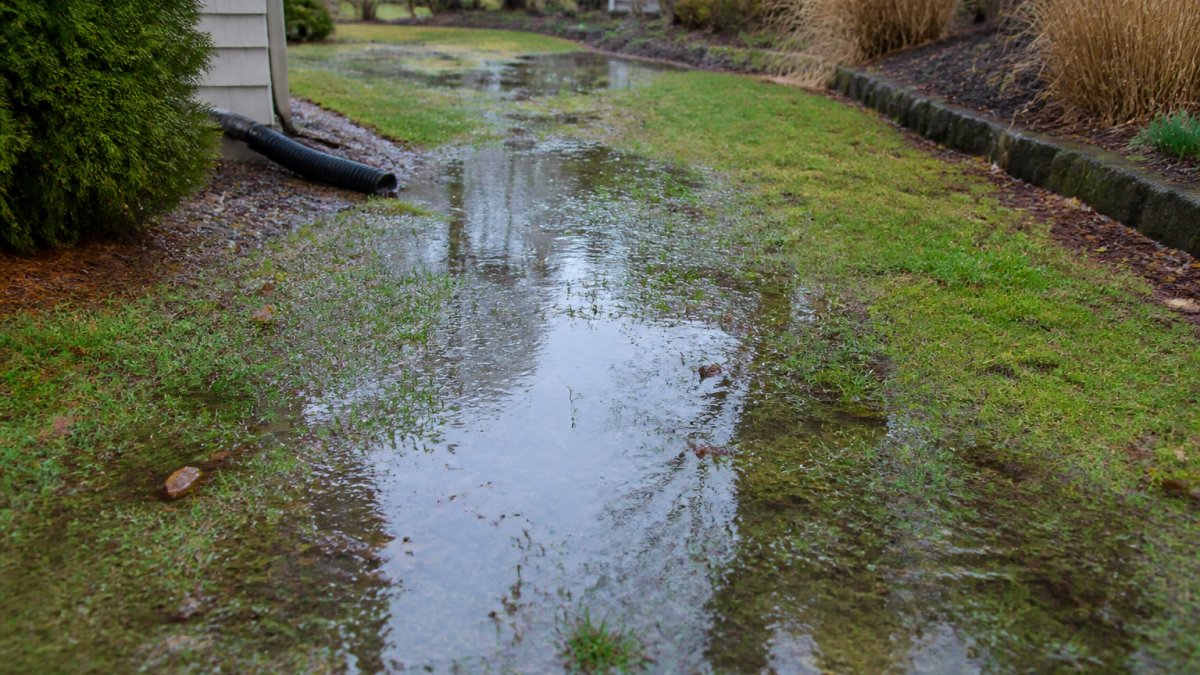 How to Stop Yard Water Pooling: 7 Proven Solutions