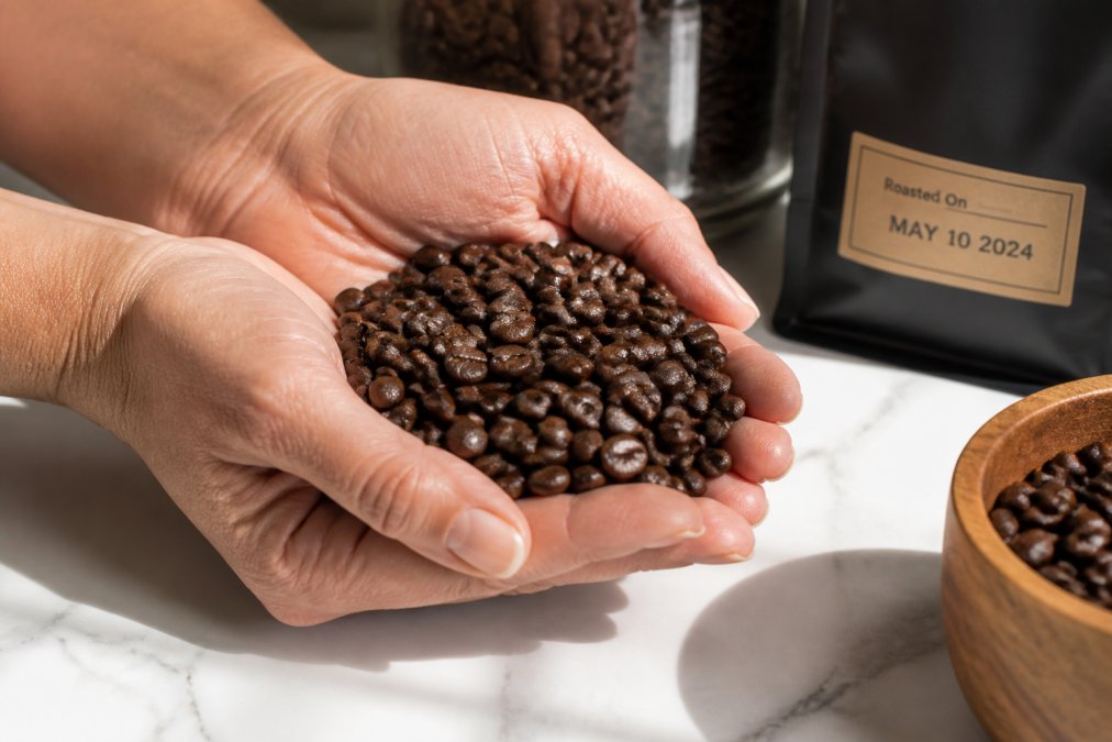 Hands holding freshly roasted coffee beans over a white ceramic surface, showing deep brown color with visible oils, with a coffee bag displaying a roast date label visible in the frame, natural daylight illuminating the beans