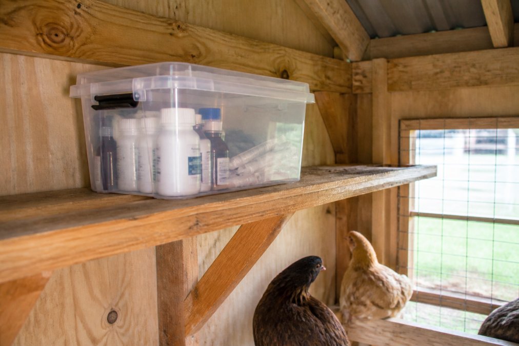 A clear plastic storage tote with a sealed lid, holding labeled medication bottles and syringes, placed on a high shelf inside a backyard chicken coop with natural light coming through a small window