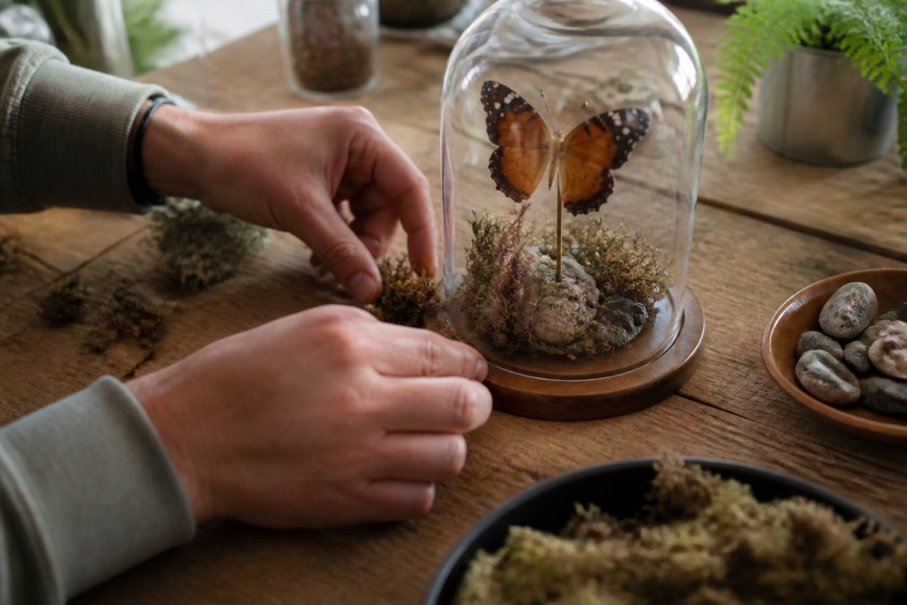 Step-by-step guide on how to style glass domes using dried moss, stones, and a preserved butterfly.