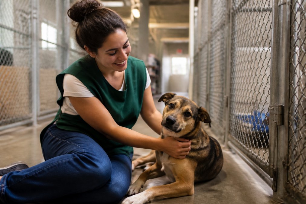 A smiling volunteer in a shelter vest sitting on the floor with a medium-sized dog in a kennel area, gently petting the dog as it looks up at the camera with calm eyes under warm fluorescent lighting