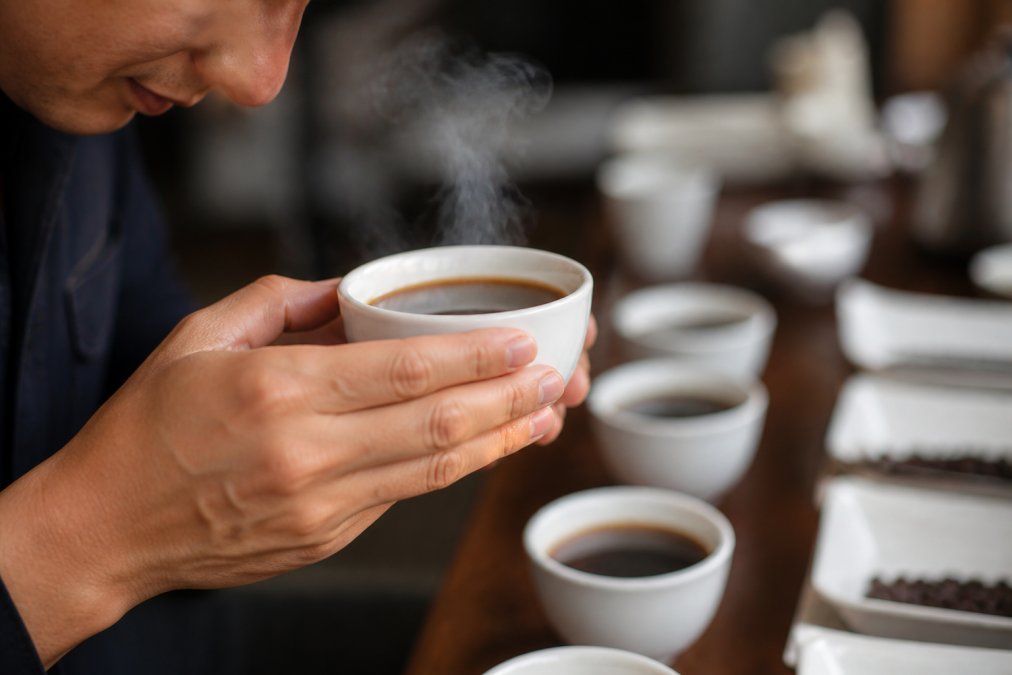 Hands holding a white ceramic cupping bowl with dark coffee, steam rising visibly, demonstrating proper grip and positioning for professional coffee tasting