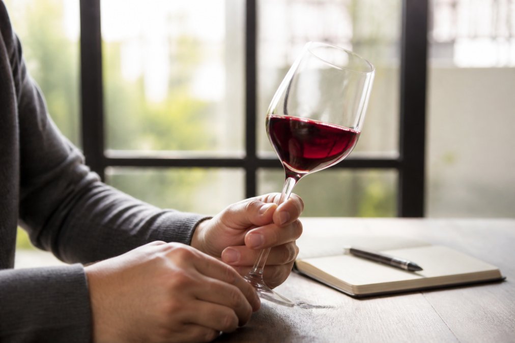 Close-up of hands tilting a wine glass against a bright window, showing the colour and clarity of red wine, with a tasting notebook and pen on a wooden table nearby