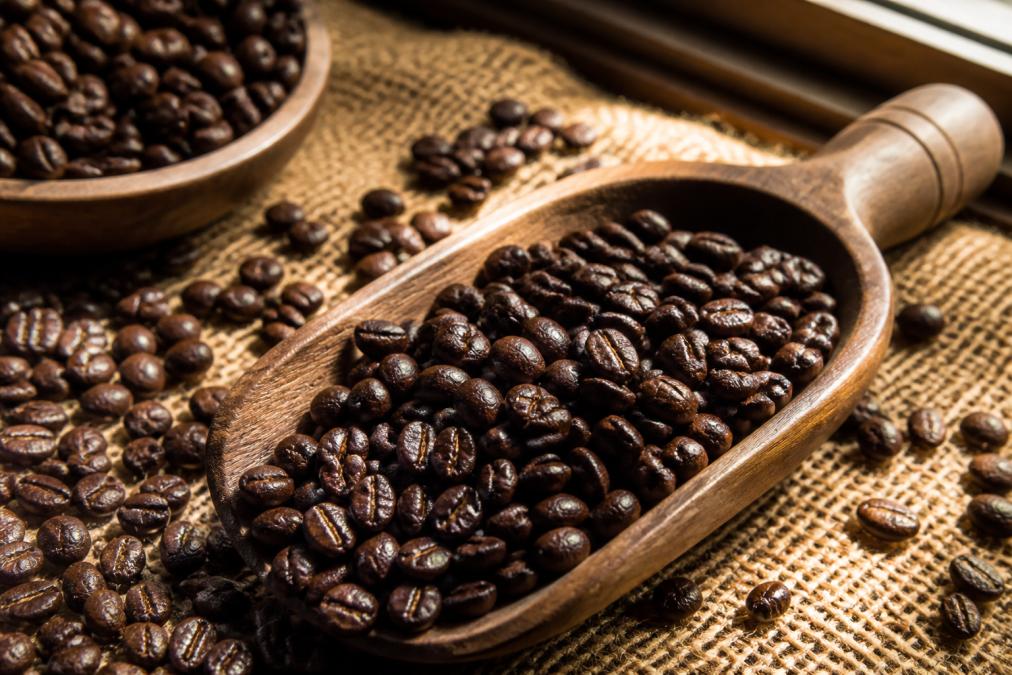 Close-up of a wooden scoop filled with dark, glossy whole coffee beans resting on a rustic burlap surface, with warm natural light from a side window highlighting the oil sheen across the bean surface
