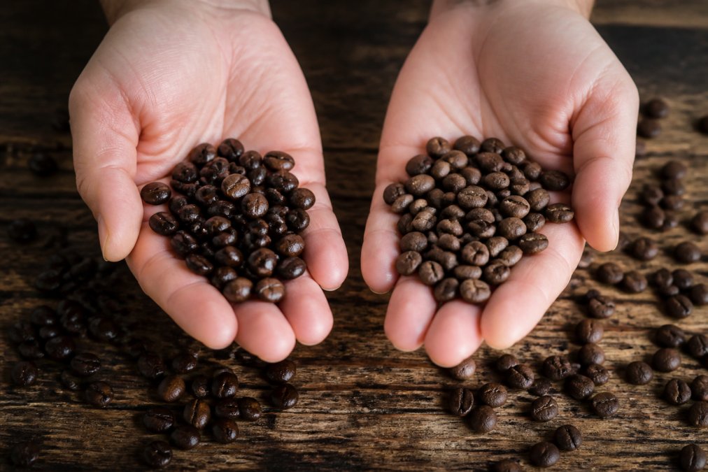 Close-up of two hands holding whole coffee beans over a wooden table, one batch visibly glossy and dark, the other appearing dull and matte, with soft natural light highlighting the surface texture difference