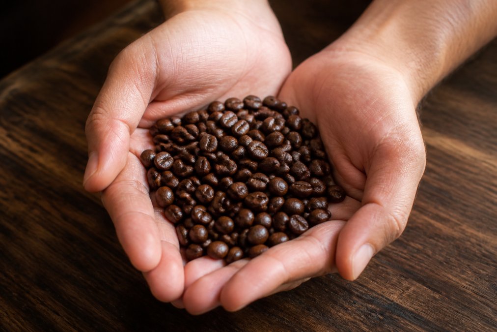 Close-up of two hands cupping a small pile of dark, glossy whole coffee beans over a wooden table, with warm natural light highlighting the oily sheen on the beans